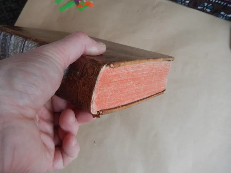 Opera omnia. Medico pratica et anatomica.