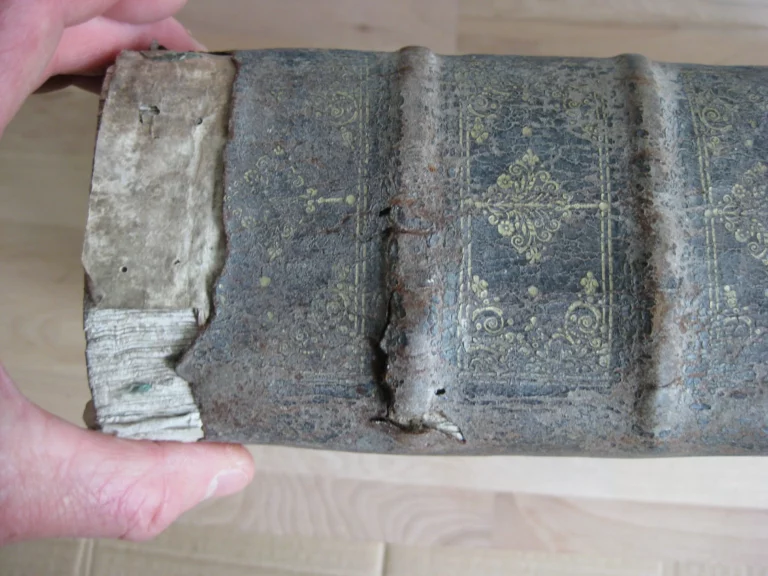 Opera in très tomos distributa. R.P. Pauli Layman