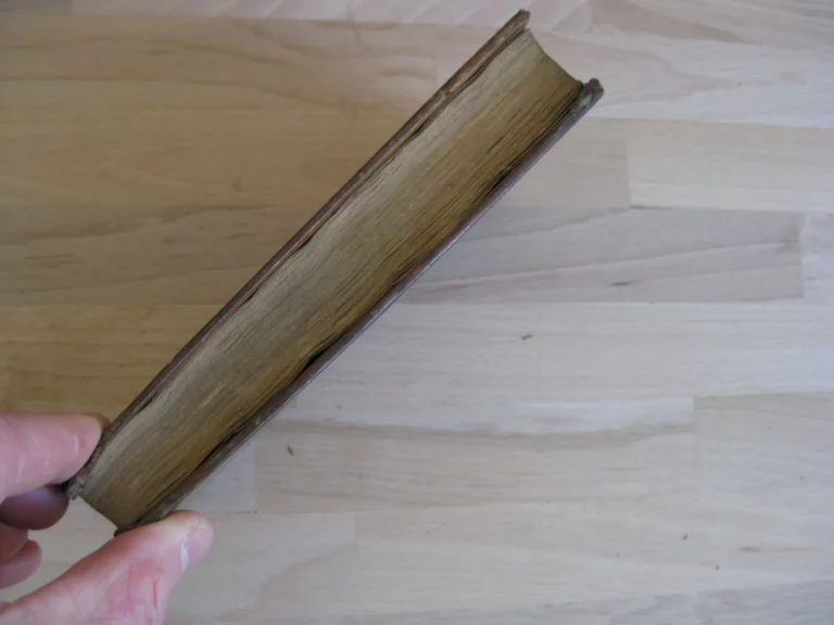 Pièces intéressantes et peu connues pour servir à l'histoire Tome 1