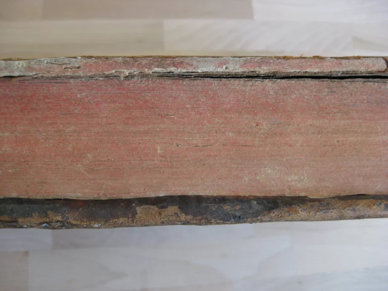 Opera medica universa - Lazari Riverii