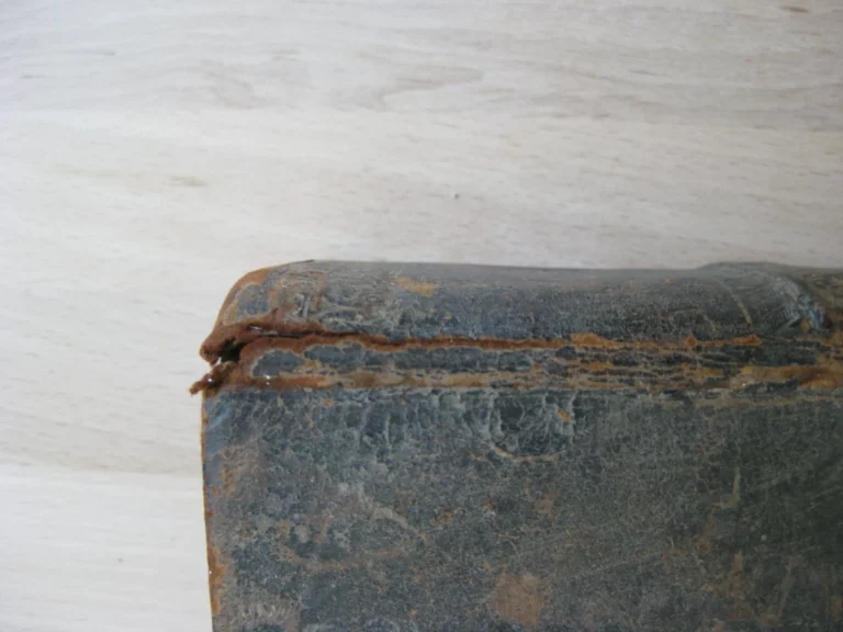 Opera di Torquato Tasso, III et IV en un volume Opera di Torquato Tasso, III et IV en un volume