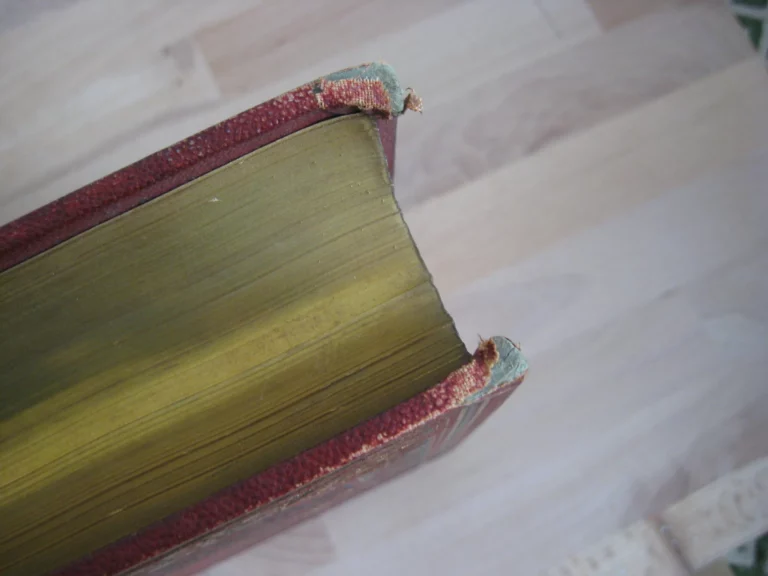 Sainte Elisabeth de Hongrie - Le Comte de Montalembert