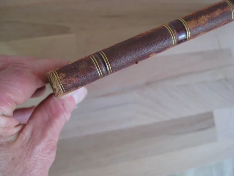 Des Races qui se partagent l'Europe 