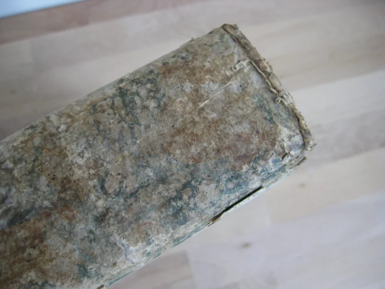 Guidonis papae i. utriusque consultissimi