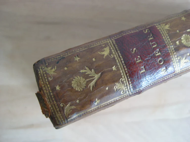 Les mœurs - François-Vincent Toussaint