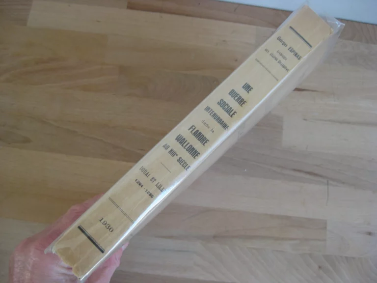 Une guerre sociale interurbaine dans la Flandre Wallonne au XIIIème siècle. Douai et Lille, 1284-1285