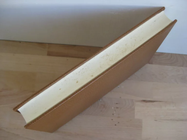 La peur en Dauphiné - Pierre Conard La peur en Dauphiné - Pierre Conard