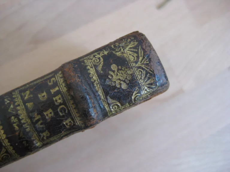 Histoire du siège du chasteau de Namur