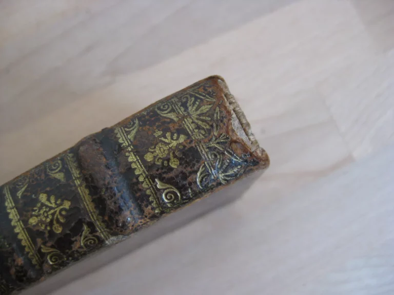 Histoire du siège du chasteau de Namur