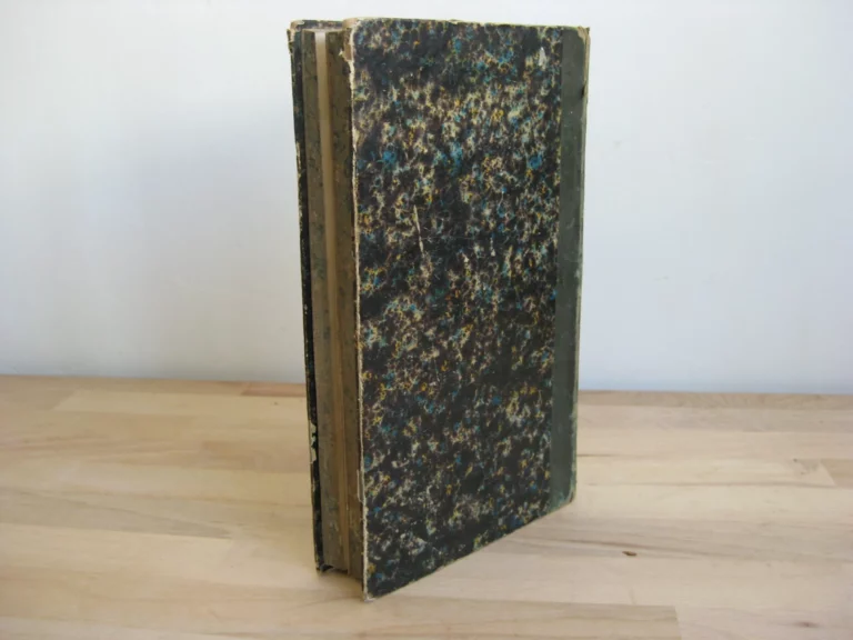 Annales de Calais. Depuis les temps les plus reculés jusqu’à nos jours