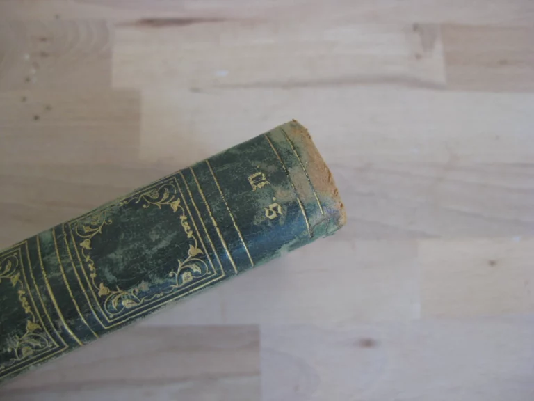 Annales de Calais. Depuis les temps les plus reculés jusqu’à nos jours