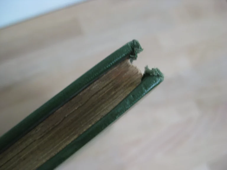 Bonaparte - Georges Montorgueil / Job (ill.)