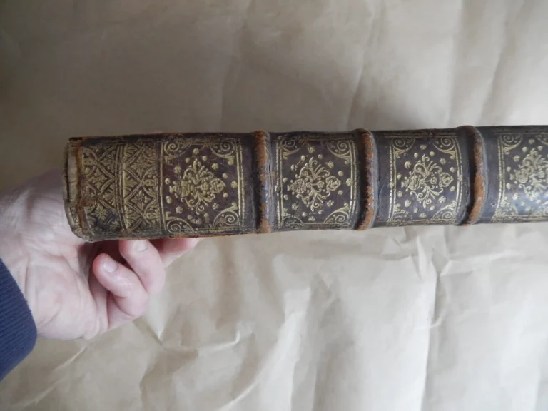 Codex medicamentarius seu pharmacopoea parisiensis