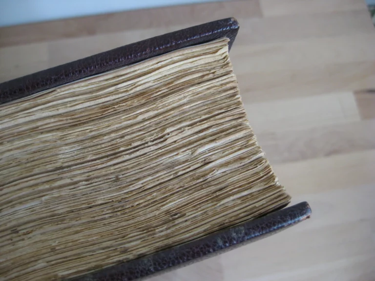 Collections du Chevalier Mayer Van Den Bergh Collections du Chevalier Mayer Van Den Bergh