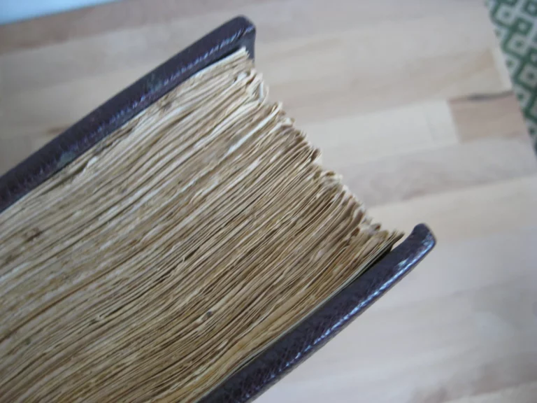 Collections du Chevalier Mayer Van Den Bergh Collections du Chevalier Mayer Van Den Bergh