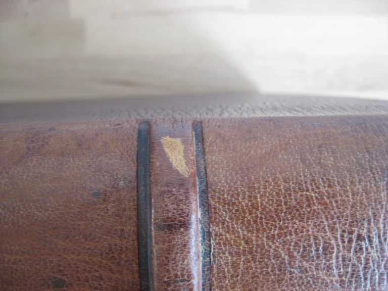 Collections du Chevalier Mayer Van Den Bergh Collections du Chevalier Mayer Van Den Bergh