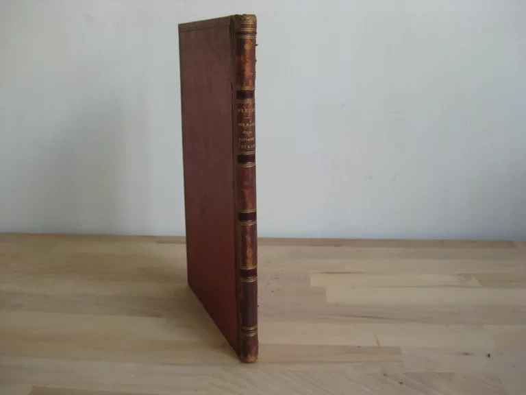 Des Races qui se partagent l'Europe 