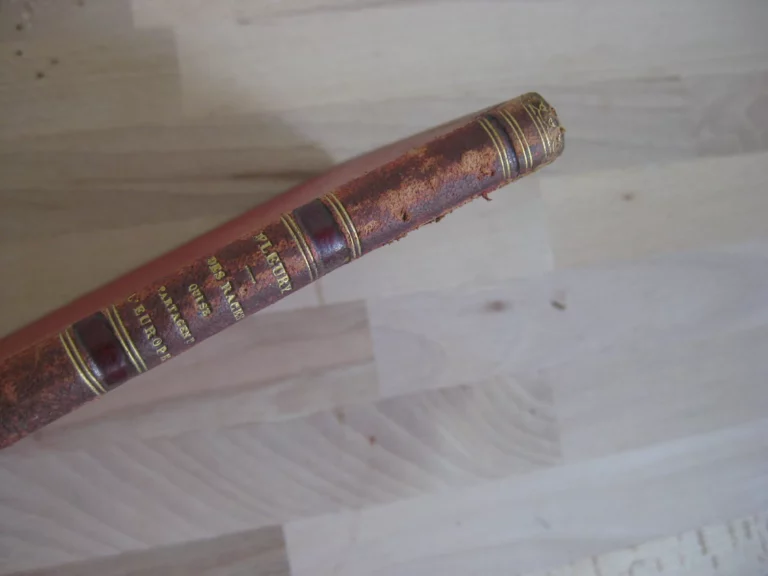 Des Races qui se partagent l'Europe 