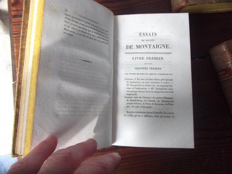 Essais de Montaigne