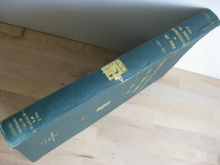 Etudes des forces hydrauliques du Bas-Congo 1910-1911