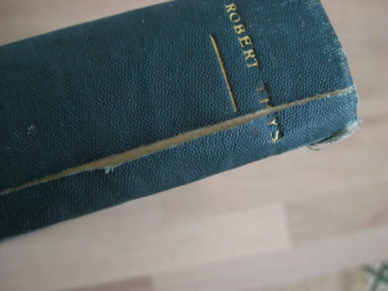 Etudes des forces hydrauliques du Bas-Congo 1910-1911