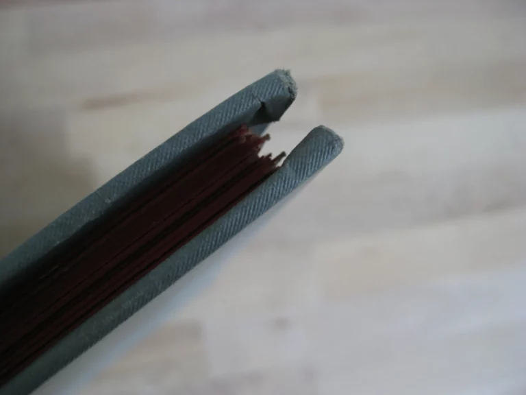 France son histoire contée par Georges Montorgueil, imagée par Job