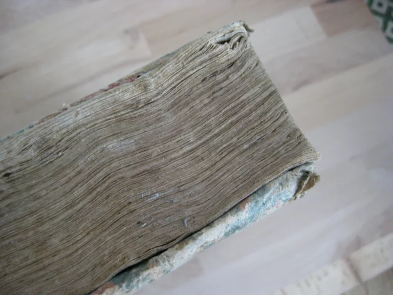 Guidonis papae i. utriusque consultissimi