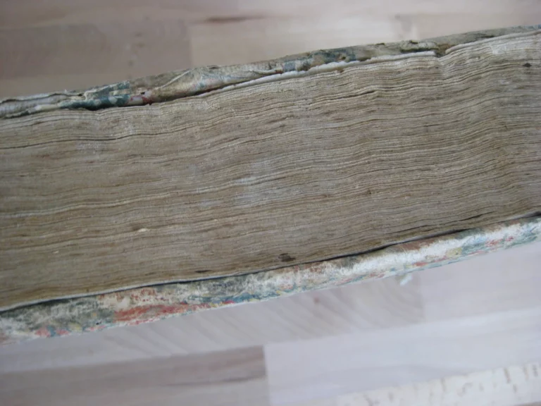 Guidonis papae i. utriusque consultissimi