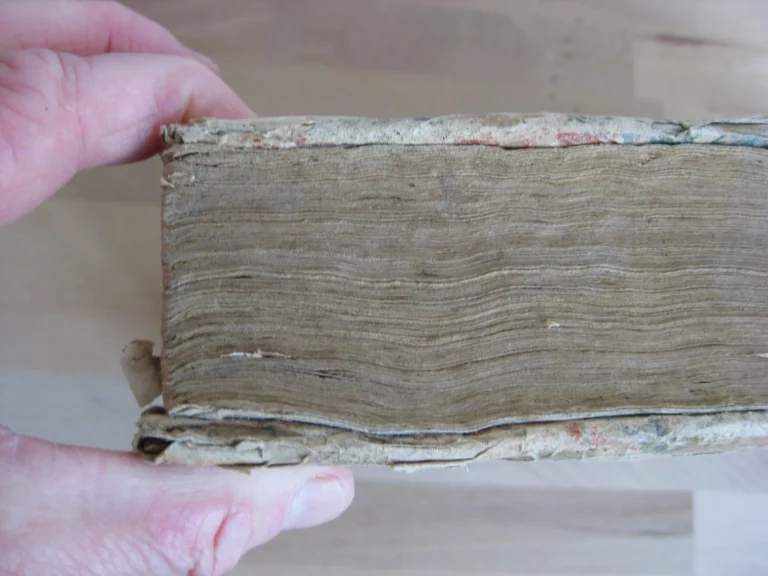 Guidonis papae i. utriusque consultissimi