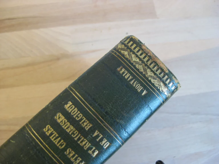 Histoire des fêtes civiles et religieuses. Madame Clément, née Hémery