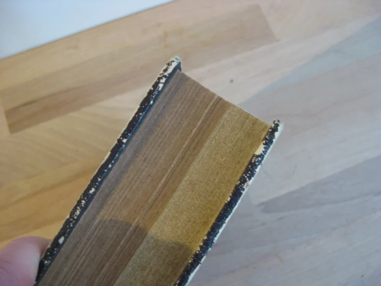 Histoire des fêtes civiles et religieuses. Madame Clément, née Hémery