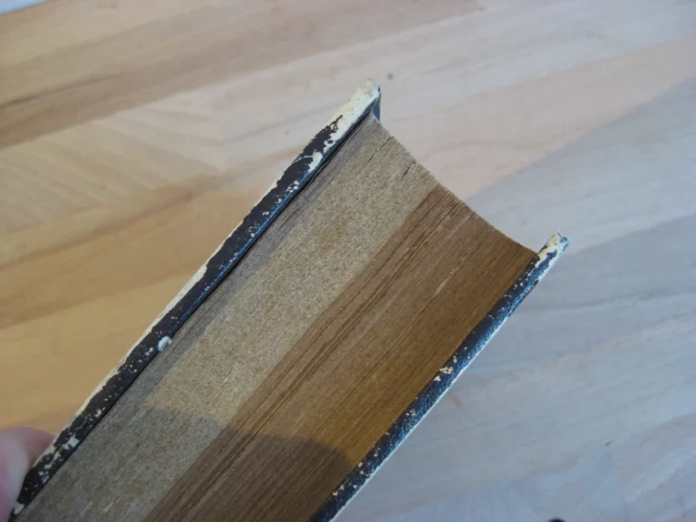 Histoire des fêtes civiles et religieuses. Madame Clément, née Hémery