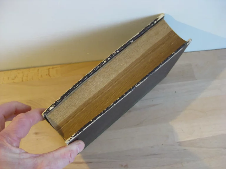 Histoire des fêtes civiles et religieuses. Madame Clément, née Hémery