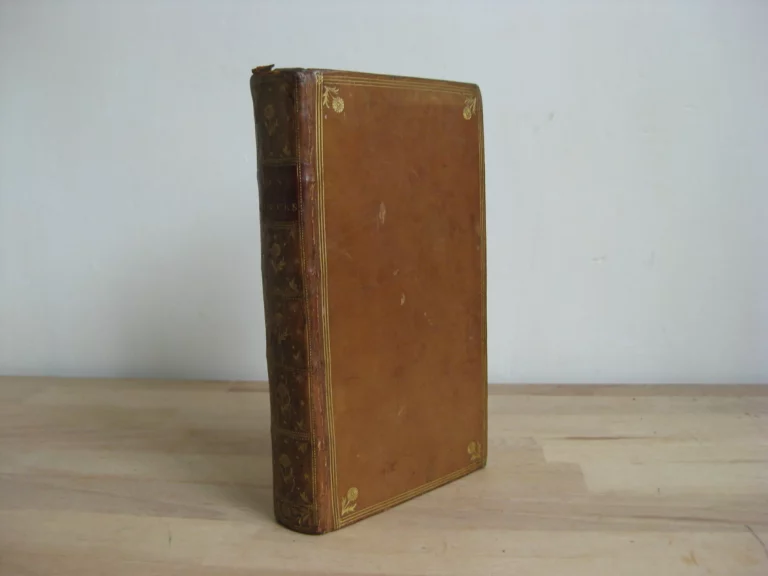 Les mœurs - François-Vincent Toussaint