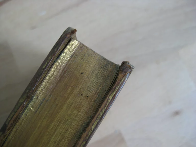 Les mœurs - François-Vincent Toussaint