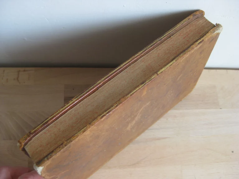 L'Hymen et la naissance, ou Poésies en l'honneur de leurs majestés impériales et royales