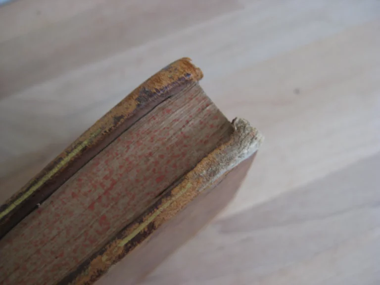 L'Hymen et la naissance, ou Poésies en l'honneur de leurs majestés impériales et royales