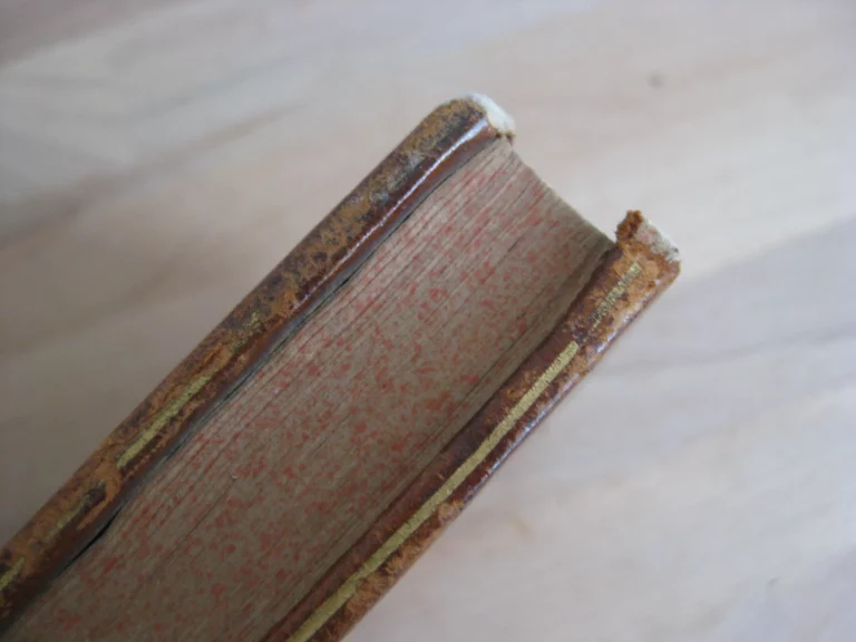 L'Hymen et la naissance, ou Poésies en l'honneur de leurs majestés impériales et royales