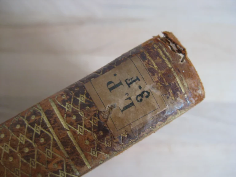 L'Hymen et la naissance, ou Poésies en l'honneur de leurs majestés impériales et royales