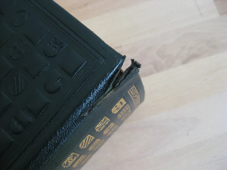 L’ordre de la noblesse - 7 volumes, complet