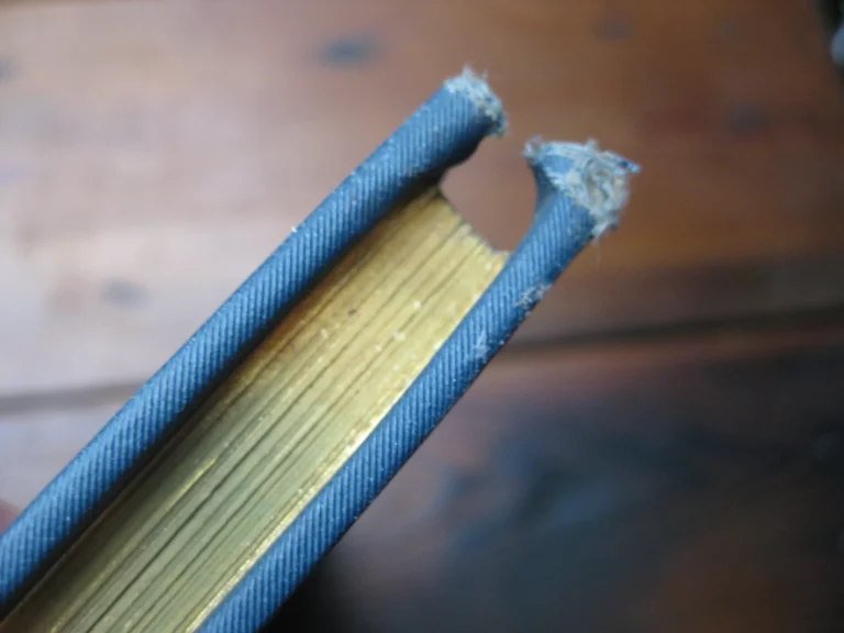 Louis XI - Georges Montorgueil / Job (ill.) Louis XI - Georges Montorgueil / Job (ill.)