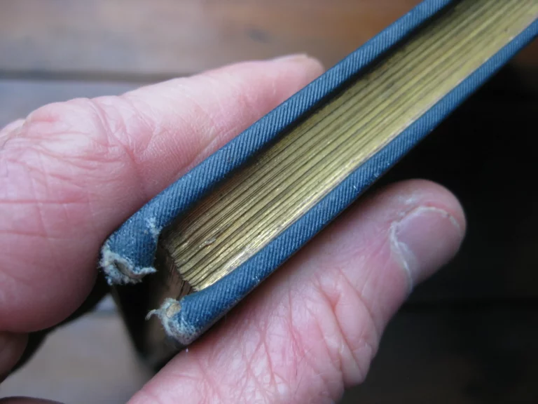 Louis XI - Georges Montorgueil / Job (ill.) Louis XI - Georges Montorgueil / Job (ill.)