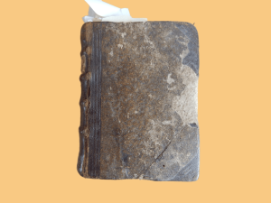 M. Antonii Mureti. Presbyteri I.C. et civis romani oratoris ac poetae clarissimi, Epistolae, hymni sacri, & poemata omnia