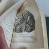 Mémoires d’anthropologie, 5 tomes, complet