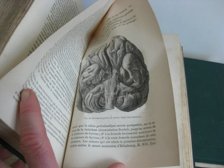 Mémoires d’anthropologie, 5 tomes, complet