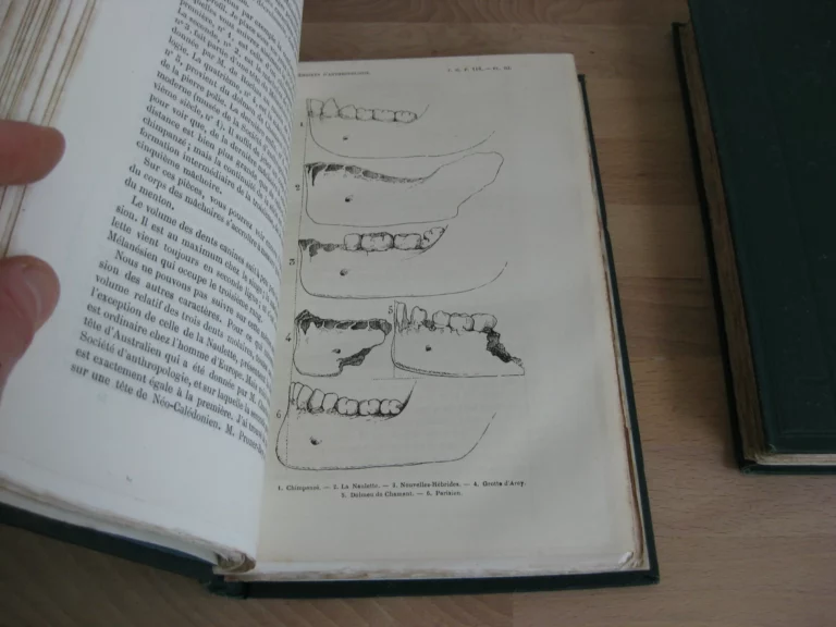 Mémoires d’anthropologie, 5 tomes, complet