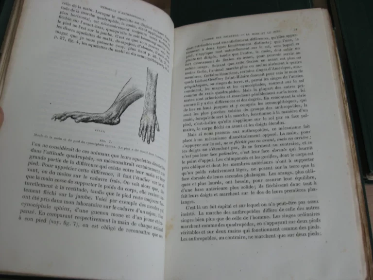 Mémoires d’anthropologie, 5 tomes, complet