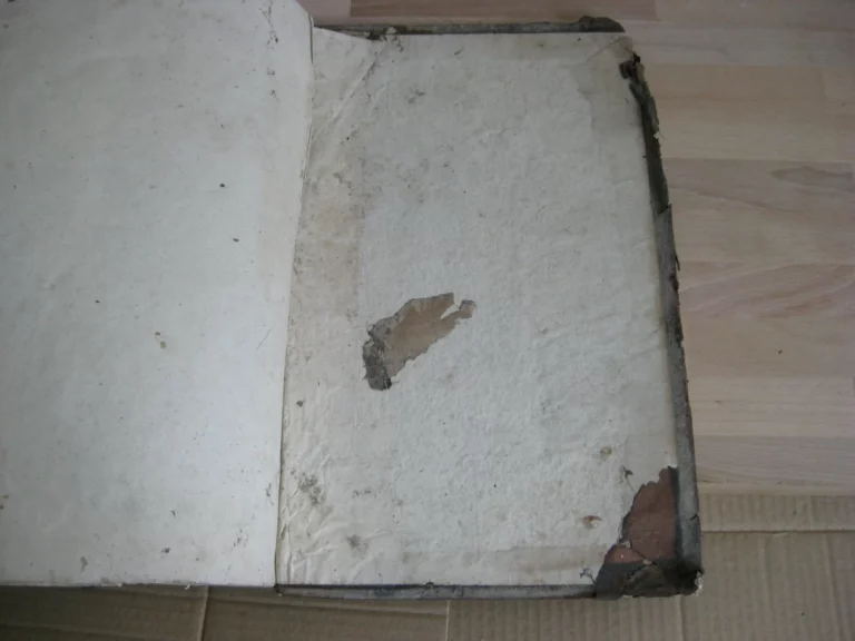 Opera in très tomos distributa. R.P. Pauli Layman