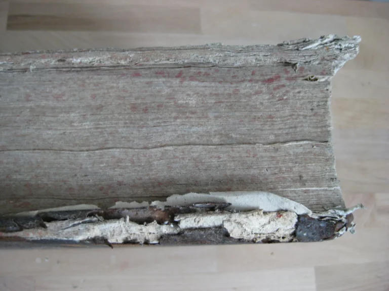 Opera in très tomos distributa. R.P. Pauli Layman