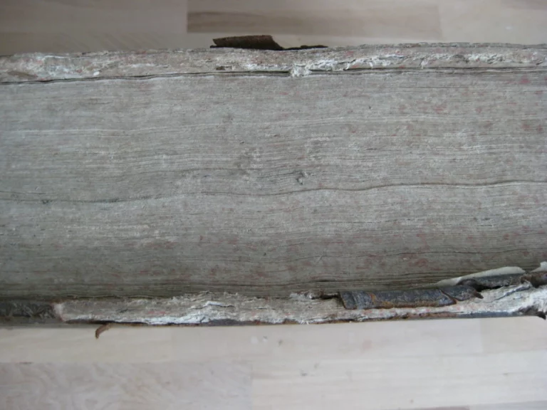 Opera in très tomos distributa. R.P. Pauli Layman